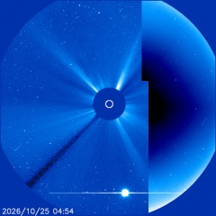 Images of the solar corona