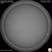 Latest Mauna Loa Ha image of the Sun